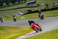 Lower Group Red Bikes